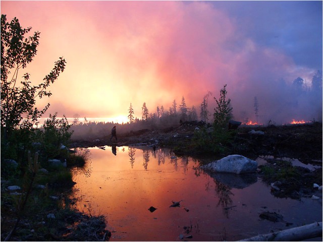 лесной пожар - это стихийное бедствие