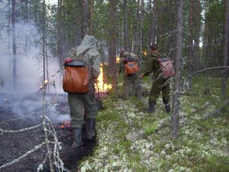 работники Мурманской авиабазы на ликвидации лесного пожара